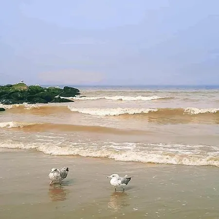 In Near Sandy Beaches, Cleaning Included 니우포르트